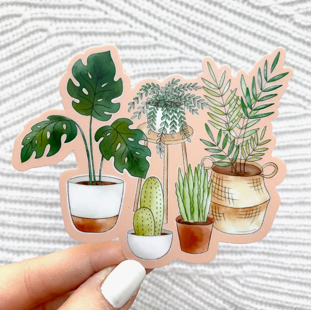 Potted Plants Watercolor with Pink Background