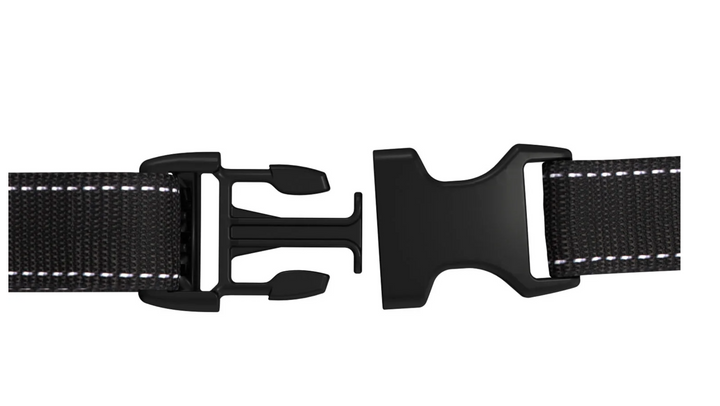 Scout -Hipster Fanny Pack