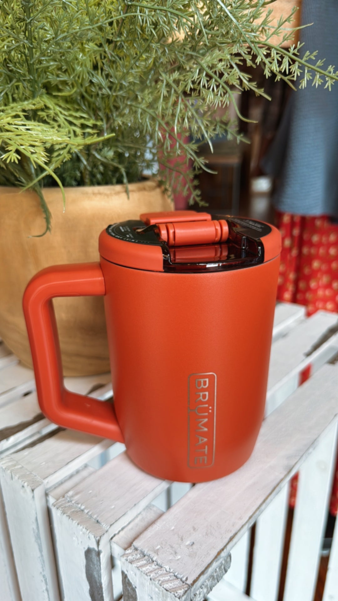 Brumate: Müv 15oz -Cedar