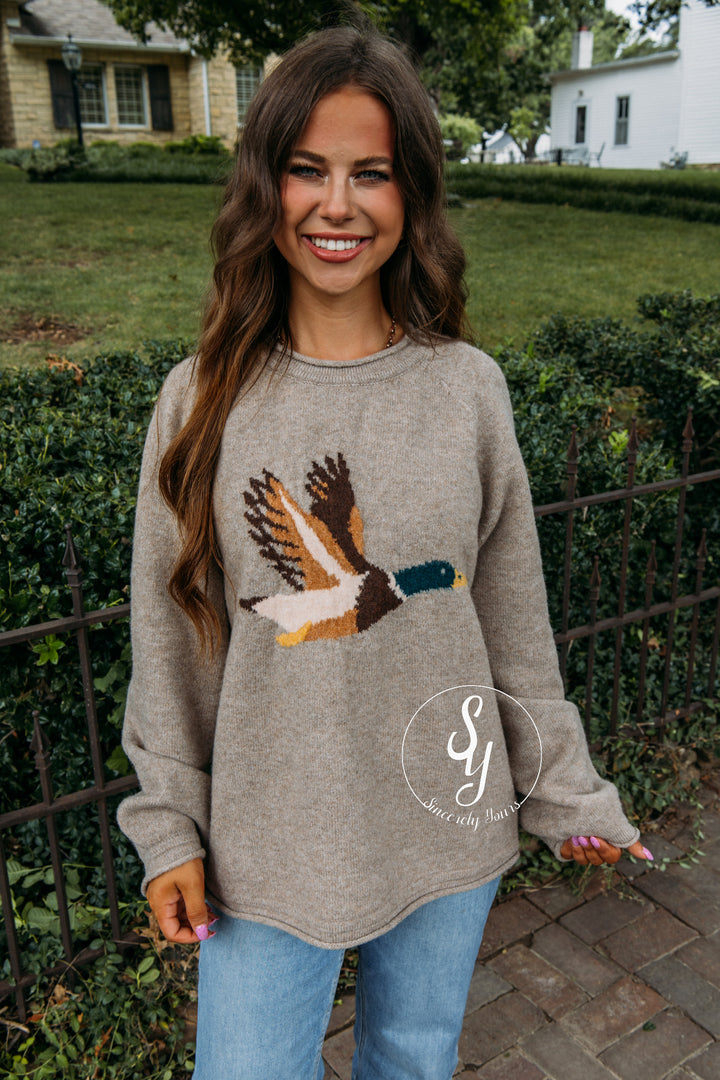 Fly Around Sweater - Mocha