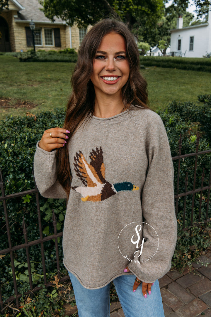 Fly Around Sweater - Mocha