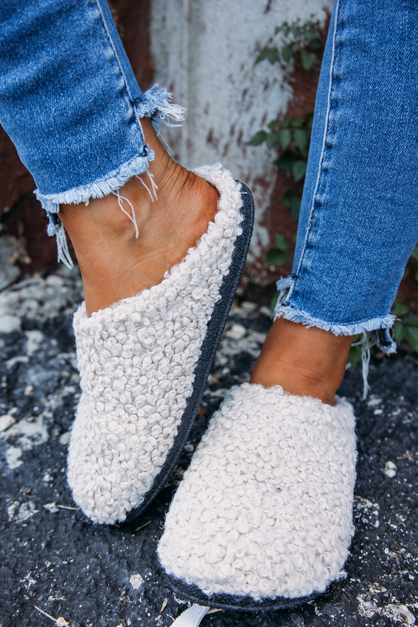 Teddy Clog Slipper