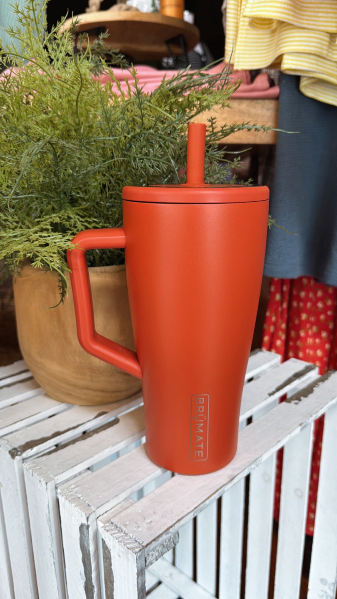 brumate monstera era Brumate Era 30oz Tumbler-Cedar