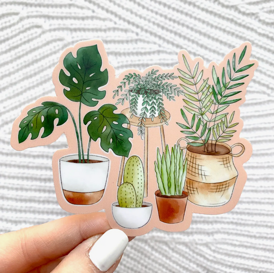 Potted Plants Watercolor with Pink Background