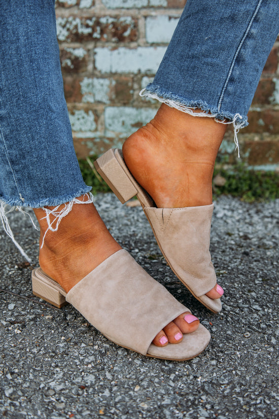 Load image into Gallery viewer, Steve Madden: Anders Sandal -Sand Suede

