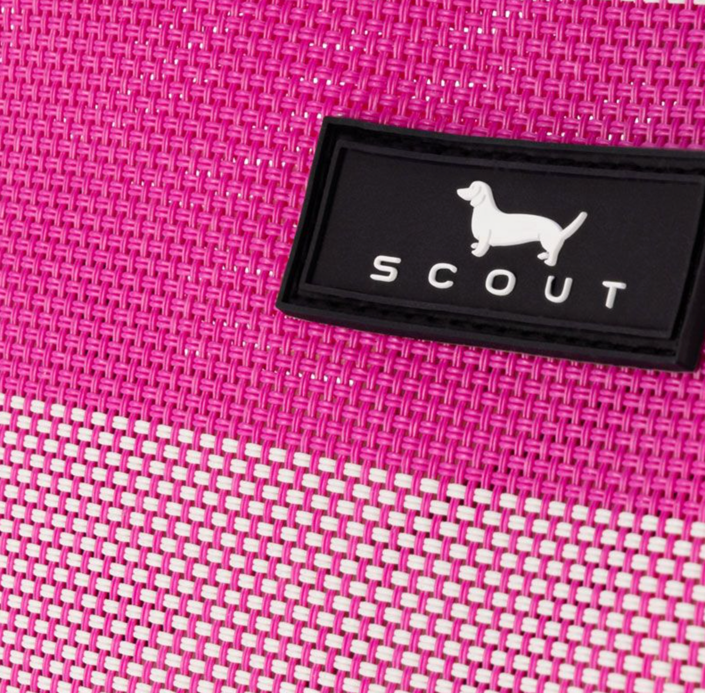 Go Getter- Pouch- Scout