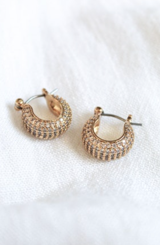 Stevie 2- Way Hoops